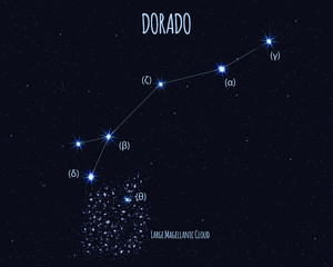 Dorado (The Goldfish) constellation, vector illustration with the names of basic stars against the starry sky