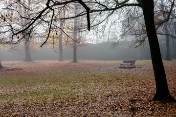 Wooden bench in the park, in the autumn season.