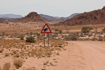 traffic sign at the road warning about crossing elephants