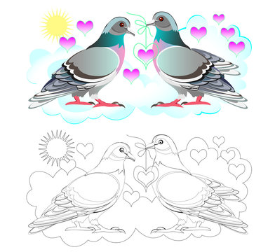 Fantasy illustration of couple cute pigeons. Colorful and black and white page for coloring book. Printable worksheet for children and adults. Vector cartoon image.