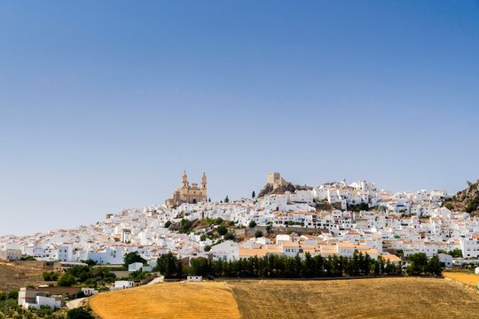 White village with church of La Encarnacion, and Moorish castle, Olvera, province of Cadiz, Andalusia, Spain, Europe