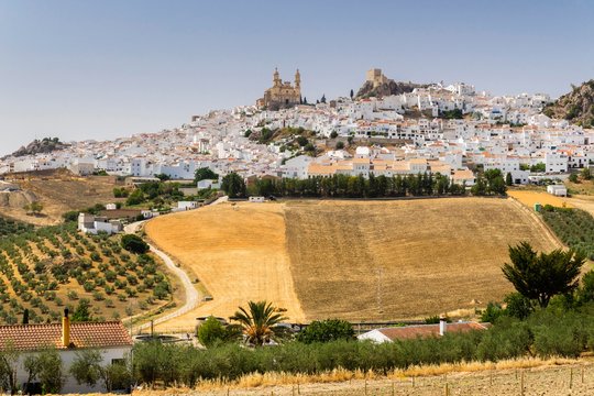 White village with church of La Encarnacion, and Moorish castle, Olvera, province of Cadiz, Andalusia, Spain, Europe