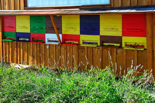Coloured bee hives on a house wall, bee therapy, api tourism, Dobrovo, Brda, Slovenia, Europe