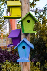 Multicolored nesting boxes closeup outdoor background