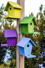 Multicolored nesting boxes closeup outdoor background