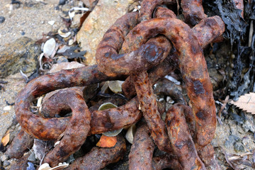 maillons de chaîne roullée