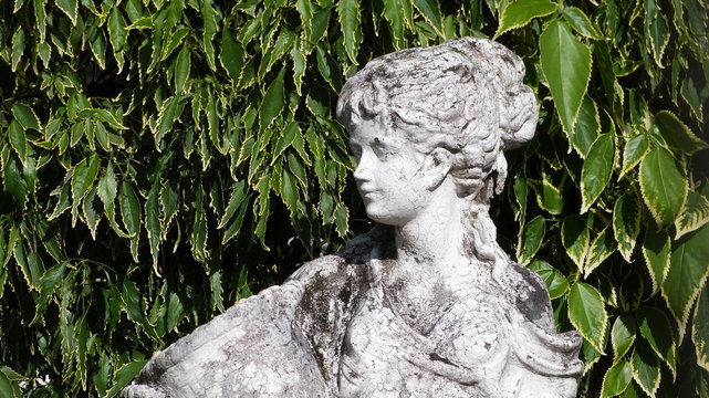 Est&aacute;tua