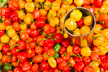 Fresh chilis at Feira do Sao joaquim market in Salvador, Bahia, Brazil