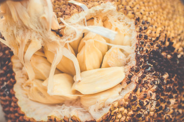 Close up Jackfruit flesh (Artocarpus heterophyllus)