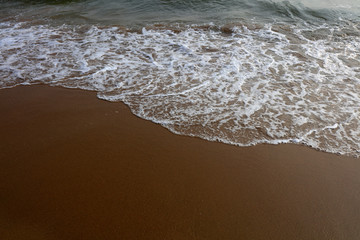 Sand beach texture