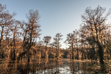 Caddo Lake State Park