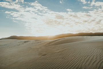 Sun Desert