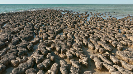 stromatolites structures formed in shallow water 
