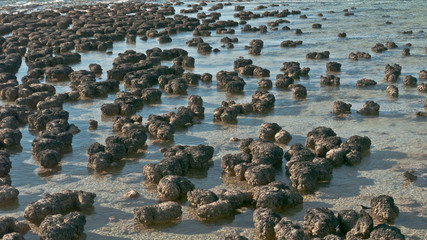 stromatolites structures formed in shallow water 