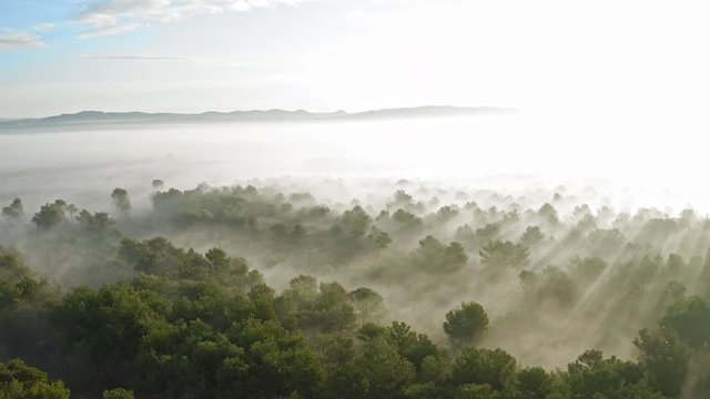 Gorgeous misty landscape at sunrise. Zadar Croatia. Aerial view travelling