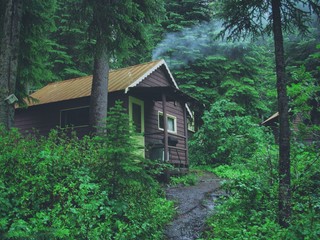 Fototapeta na wymiar Cabin in the forest 