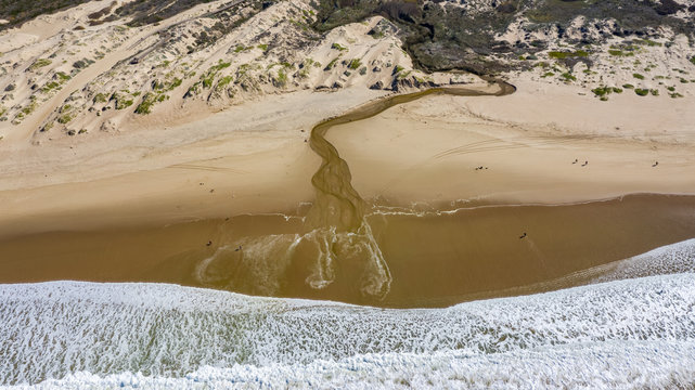 Pismo Dunes