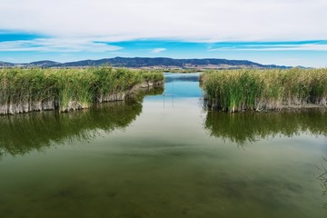 Laguna en el Parque Nacional de las Tablas de Daimiel. Ciudad Real. España.