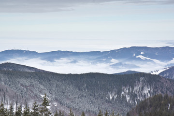 forest snow clouds rising