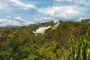 Fototapeta premium Geothermal Park in Rotorua, North Island of New Zealand