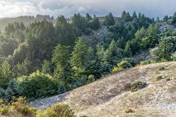 Obraz premium View of the San Francisco Peninsula mountains after an unusual snow storm, Windy Hill Open Space Preserve, California