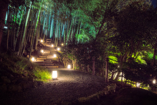 An illuminated path at the bamboo forest in the tranquil gardens of Kodaiji buddhist Temple in Gion District, Kyoto, Japan.