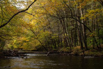 Obraz premium River in the Fall