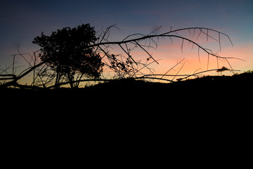 Farm sunset