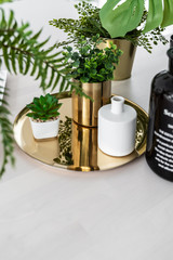 Composition of gold mirror vase and white ceramic pot with artificial plant setting on gold mirror plate on natural wood table top / object isolation / interior design decoration 