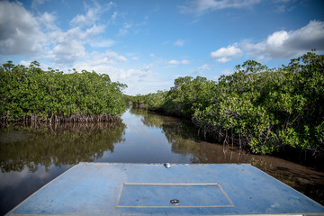 Everglades air boat ride  