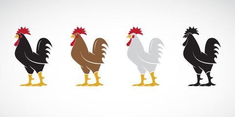 Vector of rooster or cock design on white background., Animal farm. Easy editable layered vector illustration. © yod67