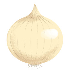 Onion