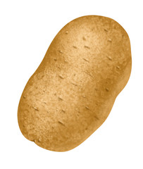 Potato