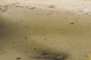Fototapeta na wymiar Shallow water creek in the sandy area.