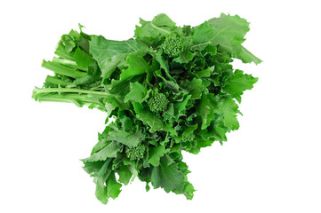 Fototapeta premium close up on a bunch of green leaf vegetable