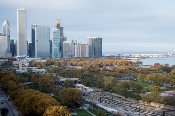 Obraz premium Chicago autumn fall foliage 