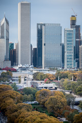 Fototapeta premium Chicago autumn fall foliage 