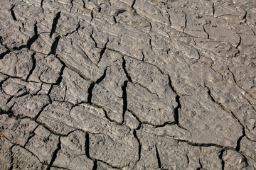 Parched soil