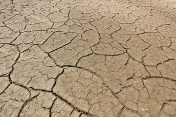 Arid cracked land