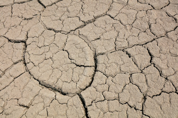 Arid cracked land