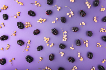 Fresh blackberries and currant pattern, top view