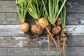 Freshly harvested turnip with soil over wooden background, top view - obrazy, fototapety, plakaty