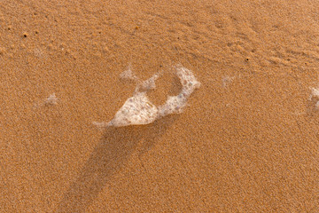 Fototapeta na wymiar White foam in the sand.