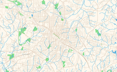 Fototapeta premium Durham North Carolina printable map excerpt