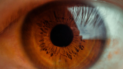 closeup of human eye