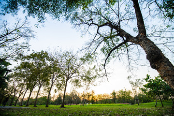 Sunset at park colorful sky cloud nature landscape