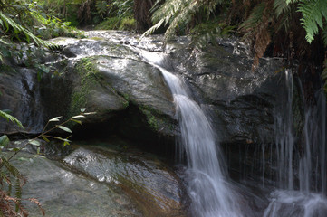 cascading waterfall in the forest