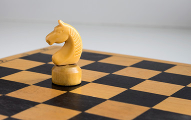 white chess knight on the Board © Irina