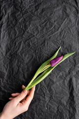 The girl holds in her hand a violet flower on a black background. The layout of colors. Florist.