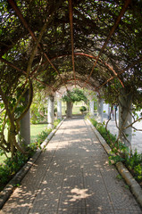 Tree tunnel garden and stone footpath in public park